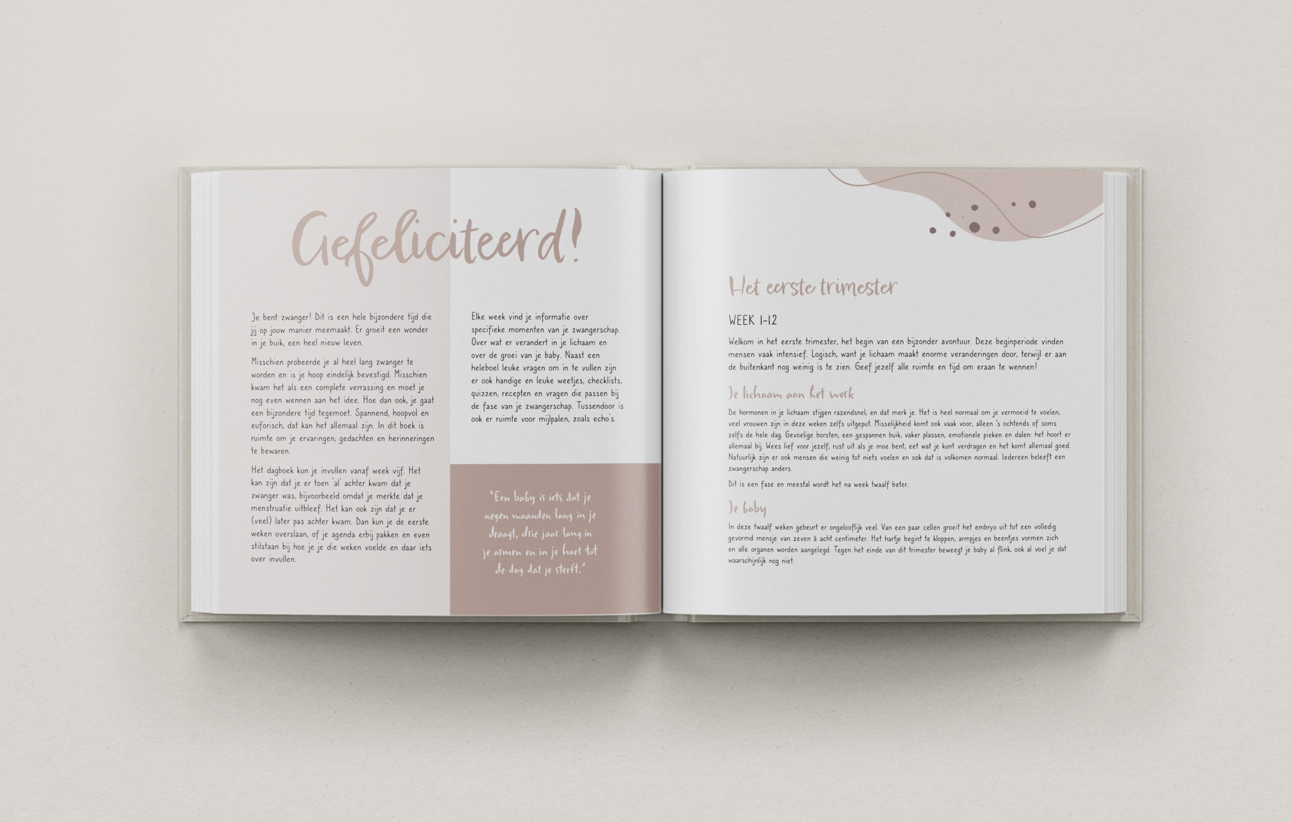 Binnenkant van het Telano zwangerschapsdagboek met eerste trimester pagina