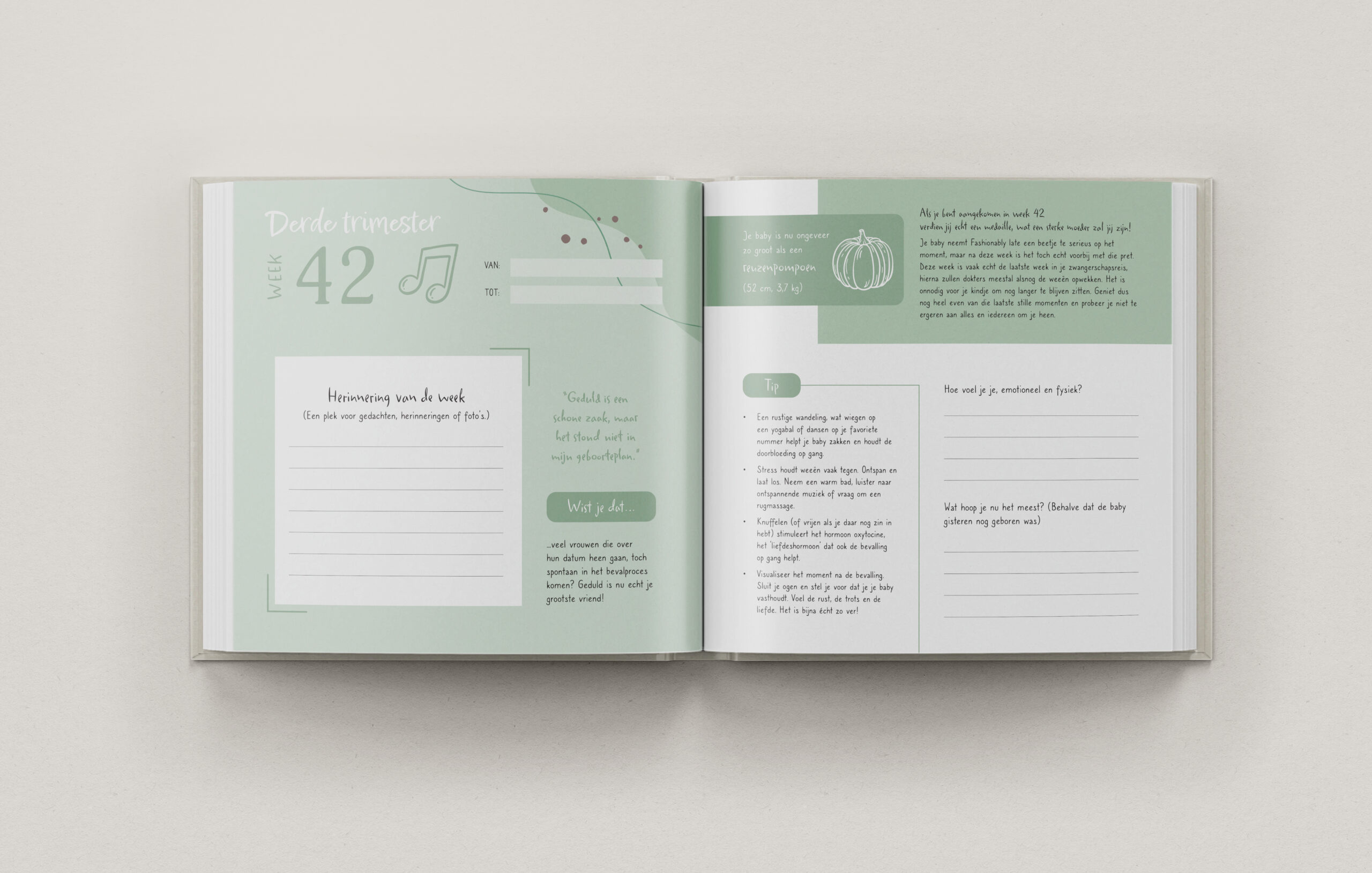 Binnenkant van het Telano zwangerschapsdagboek met invulpagina’s voor week 42